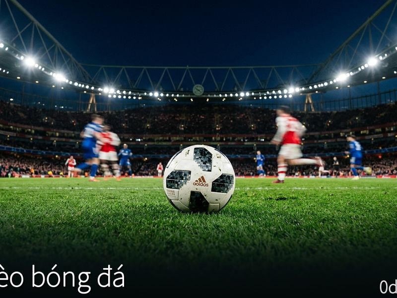 Soi kèo bóng đá vòng loại World Cup 2026: Đội tuyển Việt Nam đứng trước thử thách lớn